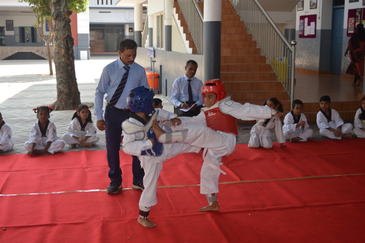 Taekwondo_SJJS12