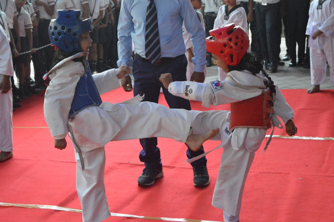 Taekwondo_SJJS16