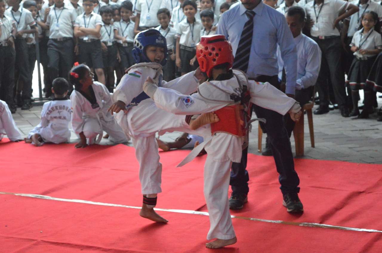 Taekwondo_SJJS17