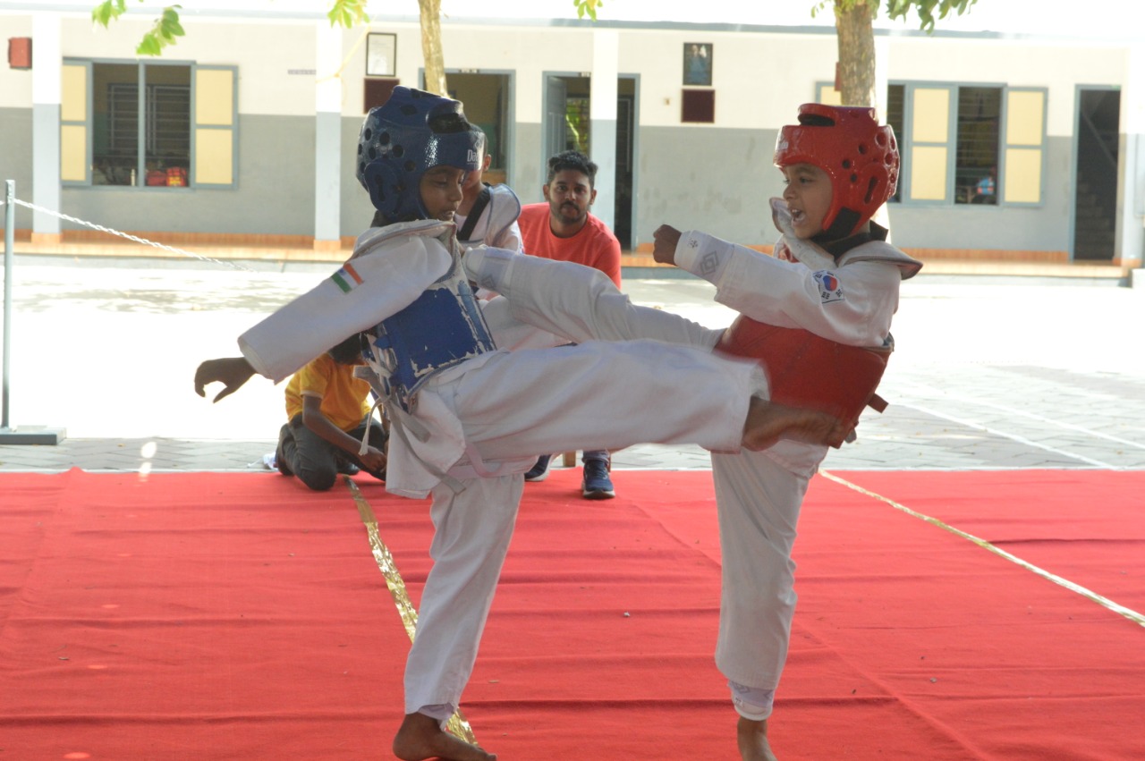 Taekwondo_SJJS18